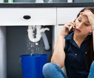 About Plumbers Pros Arcadia, MI